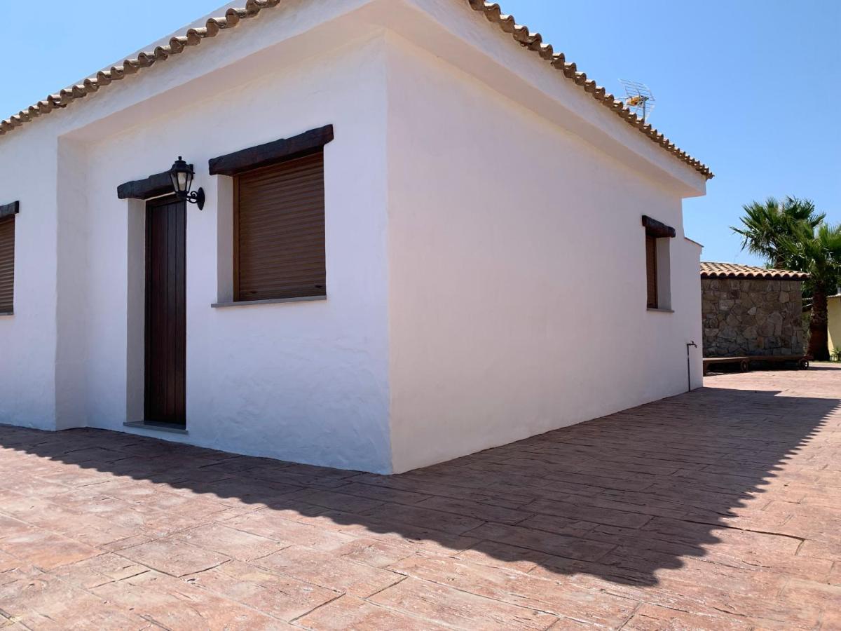 Pirata Tarifa