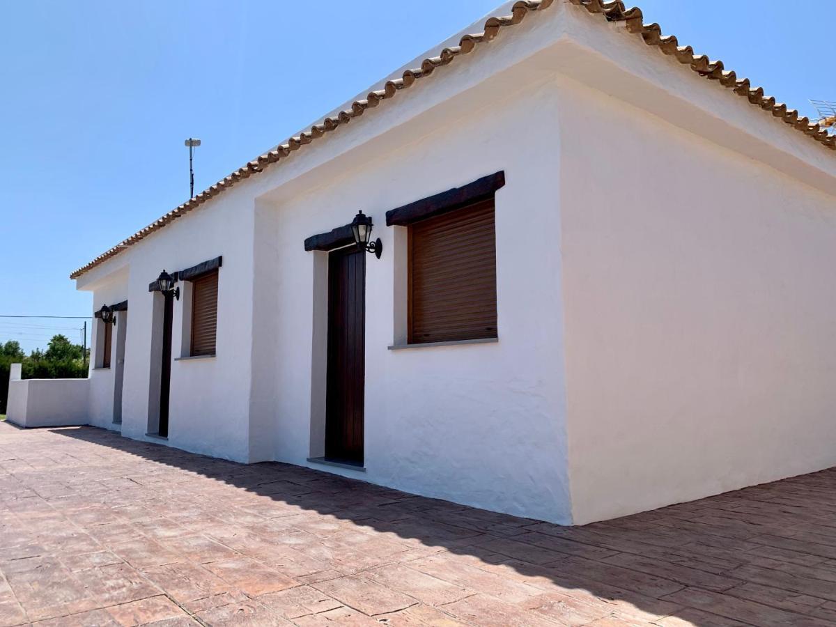 Apartment Pirata *